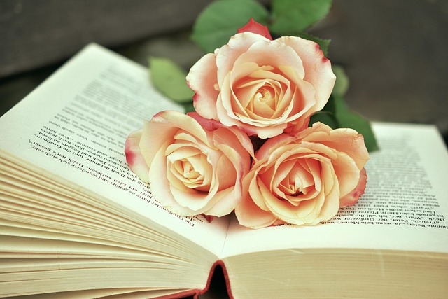 Diverse selection of books from various genres